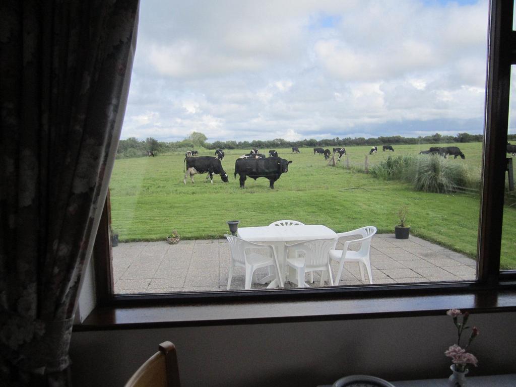 BallylongfordGreenfields Farmhouse别墅 客房 照片